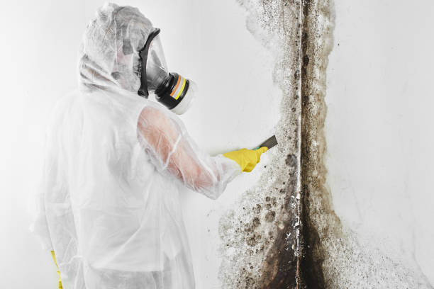 Best Post-Remediation Services in Lansdowne, VA