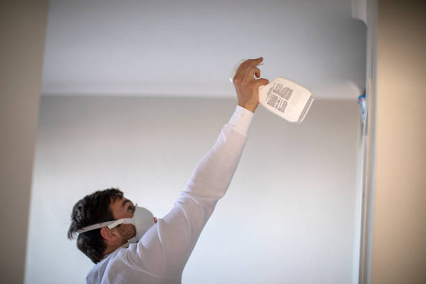 Best Preventive Mold Services in Lansdowne, VA