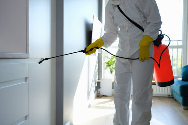 Best Bathroom Mold Remediation in Lansdowne, VA