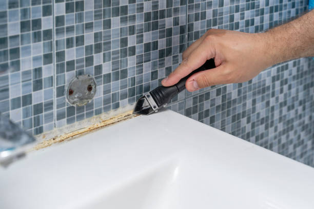 Best Bathroom Mold Remediation in Lansdowne, VA