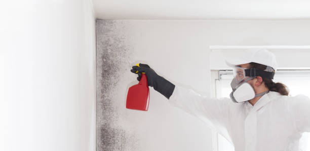 Best Industrial Mold Remediation in Lansdowne, VA