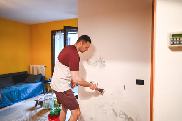 Best Health and Safety Mold Remediation in Lansdowne, VA